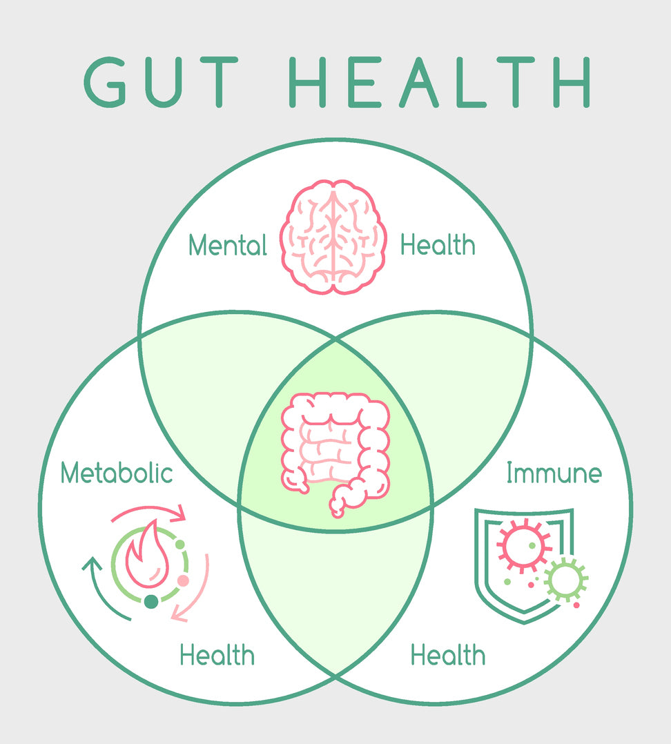 The Gut-Body Connection: How Natural Supplements May Benefit Gut Microbiome, Autoimmune Disorders, and Autism